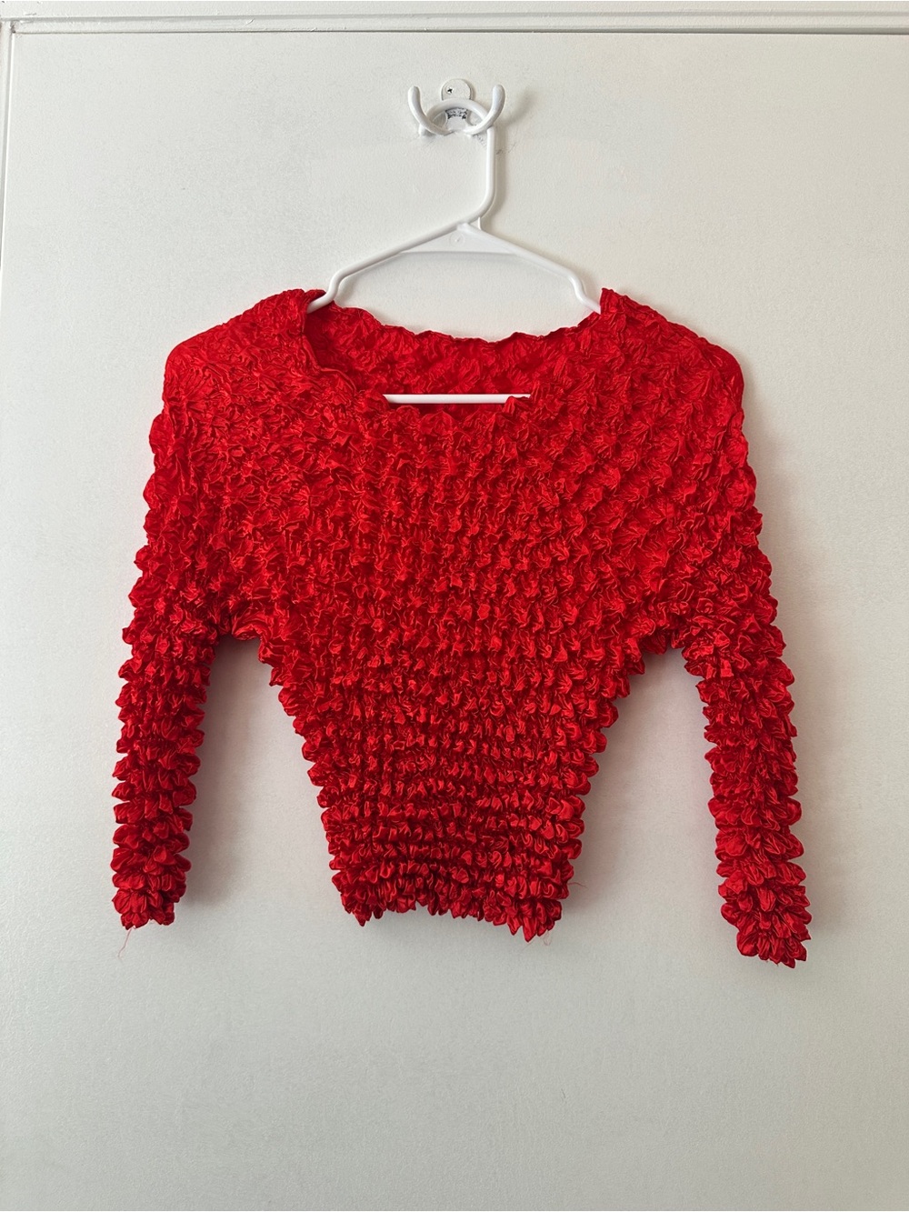 Source Unknown Red Textured Puff-Sleeve Top